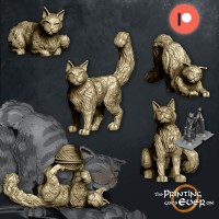 House Cats - 5 poses